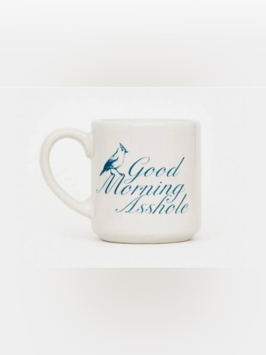 Fishs Eddy Other - Ceramic 'Good Morning’ White Mug with Blue Script and Bird